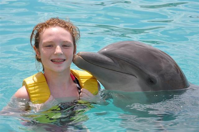 20110324 dolphinaris 06