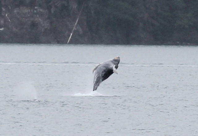 20110718 387cropped