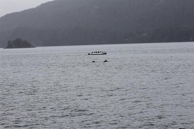 20110718 web 403