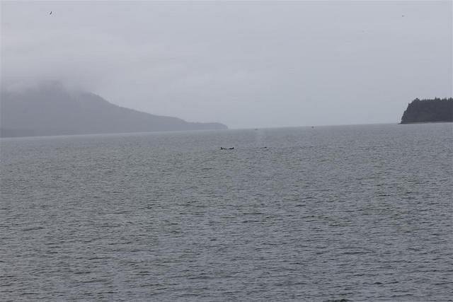20110718 web 434