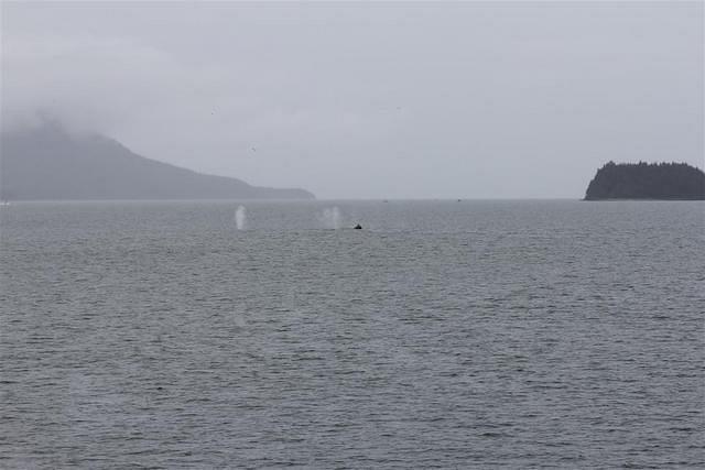 20110718 web 444