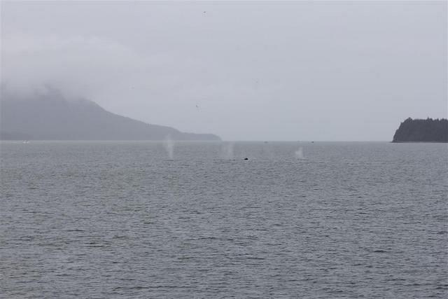 20110718 web 449