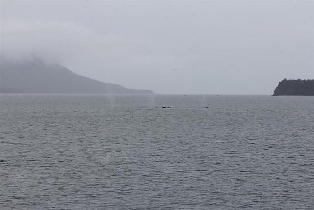 20110718 web 458