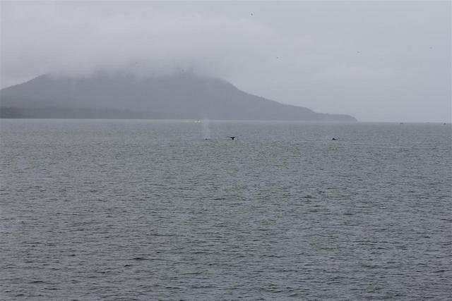 20110718 web 467