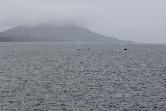 20110718 web 469