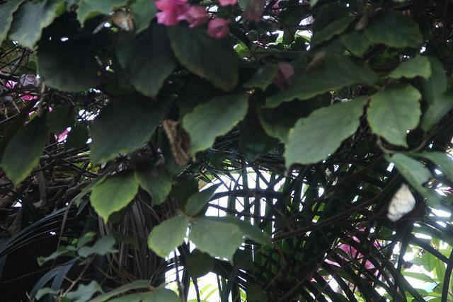 20110722 web 038