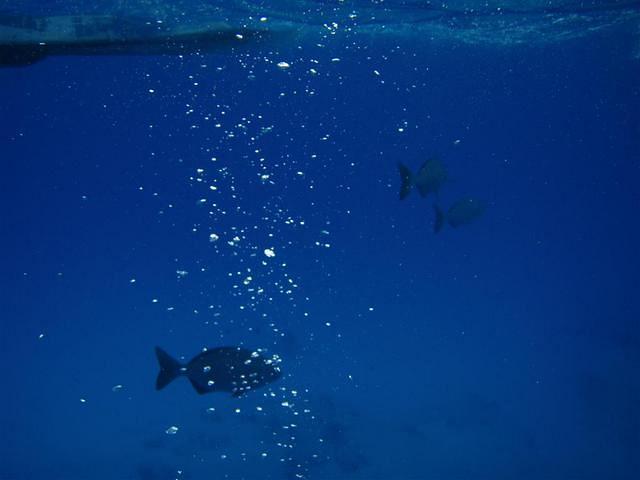20120330 115