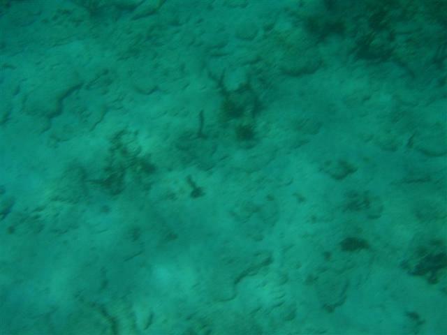 20071024 141