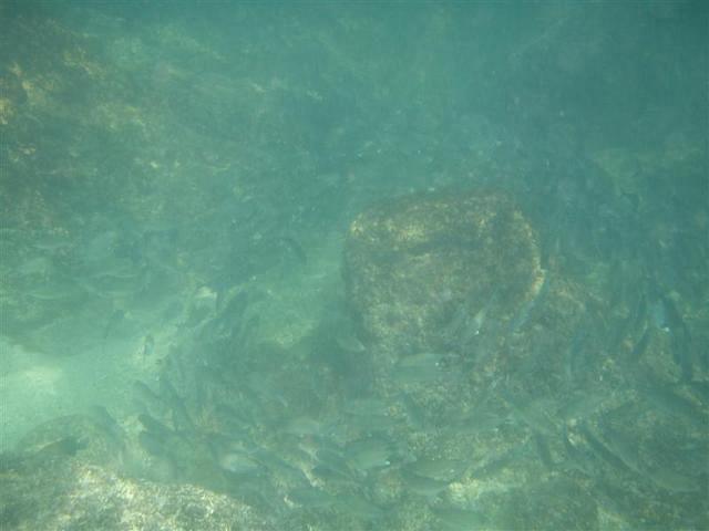 20081231 568