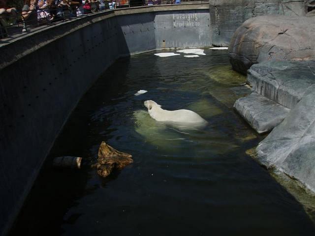 20090626 135254 copenhagen