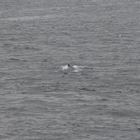 20110718 web 004