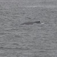 20110718 web 029