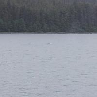 20110718 web 232