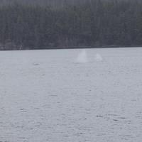 20110718 web 294