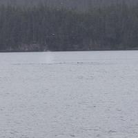 20110718 web 335