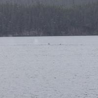 20110718 web 342