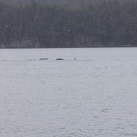 20110718 web 346