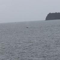 20110718 web 424
