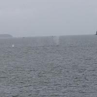20110718 web 431