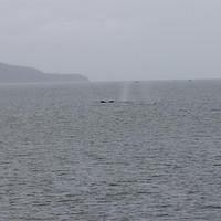20110718 web 440