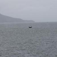 20110718 web 461