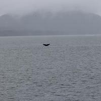20110718 web 483