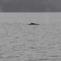 20110718 web 536