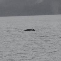 20110718 web 563