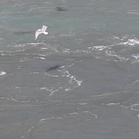 20110720 web 097