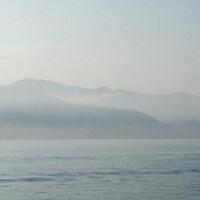 20081231 528
