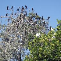 Cartagena 20141228 0826 29