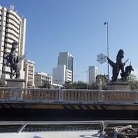 Cartagena 20141228 0838 38